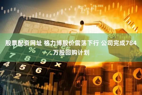 股票配资网址 格力博股价震荡下行 公司完成784万股回购计划