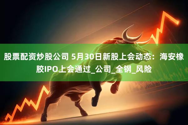股票配资炒股公司 5月30日新股上会动态：海安橡胶IPO上会通过_公司_全钢_风险